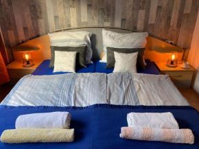 TOLL Apartment am Rhein NETFLIX Internet 1000 Mbits, free parking